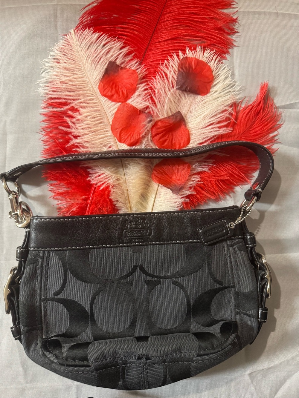 Coach Iconic Signature C Jacquard Small Shoulder Bag with Leather Trim — EUC